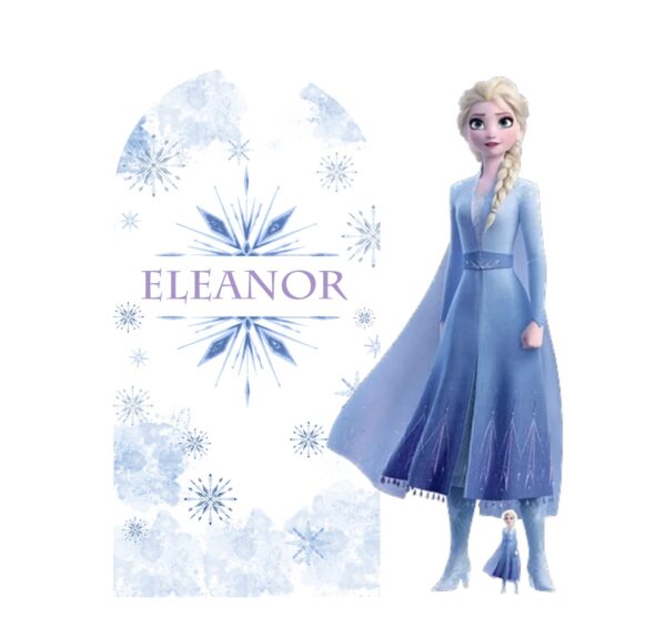 Frozen Birthday Bundle Set