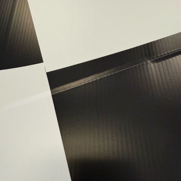 Race flag Sailboard Ex Display (Outlet) - Image 2