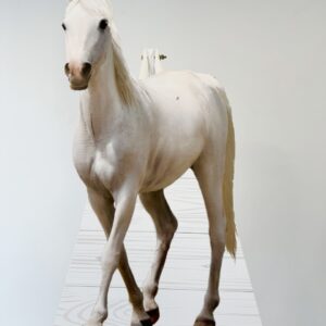 Horse Cutout (Outlet)