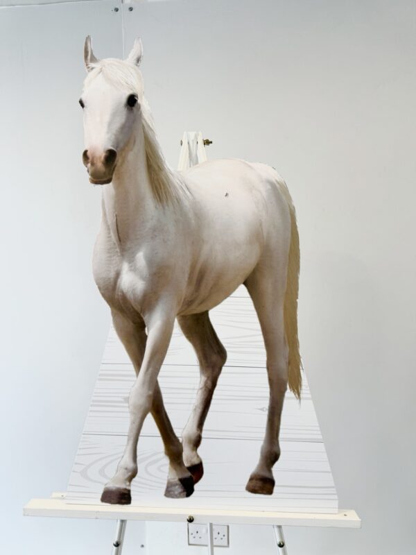 Horse Cutout (Outlet)