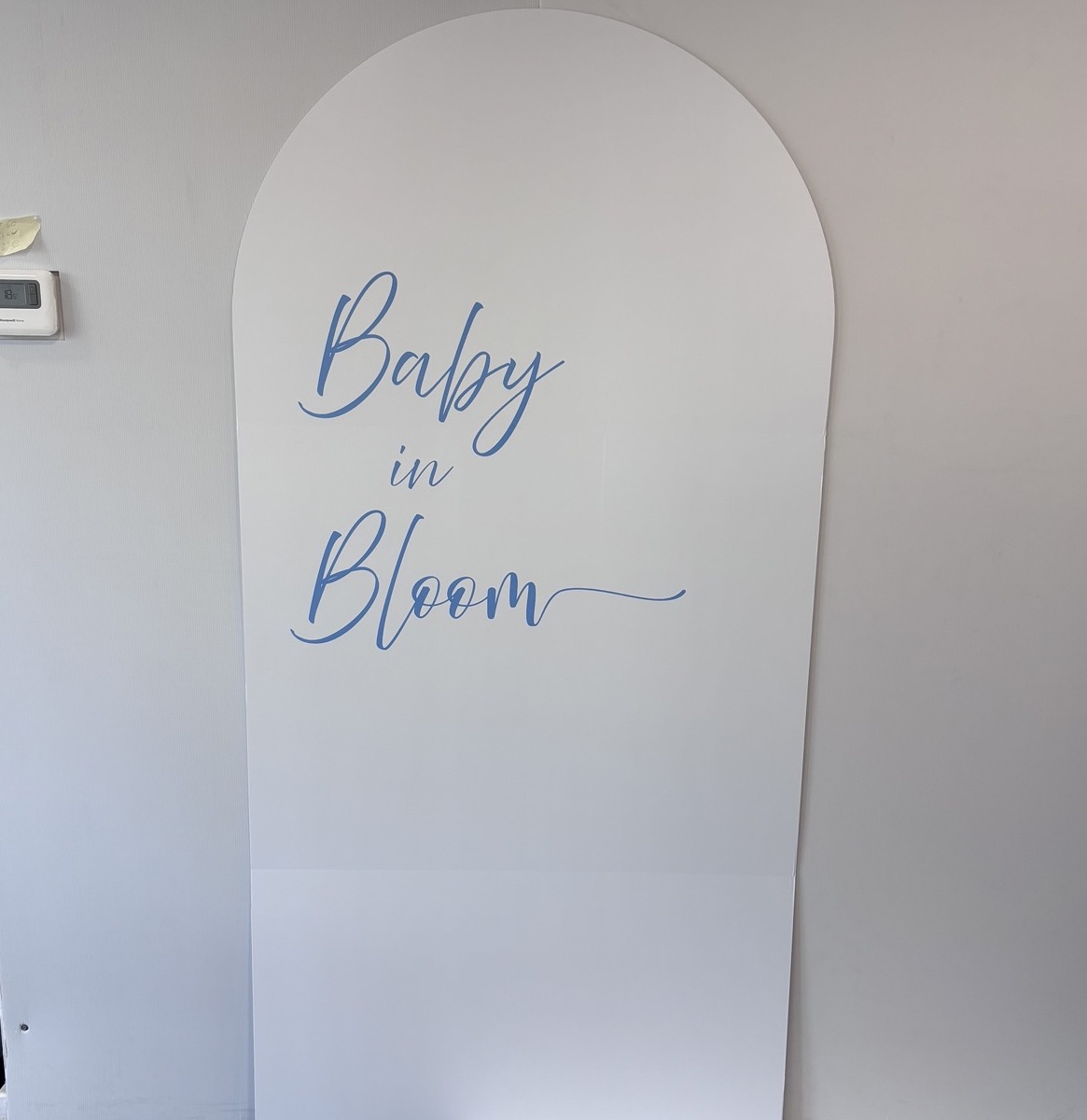 6ft Blue Baby in Bloom Sailboard (Outlet)