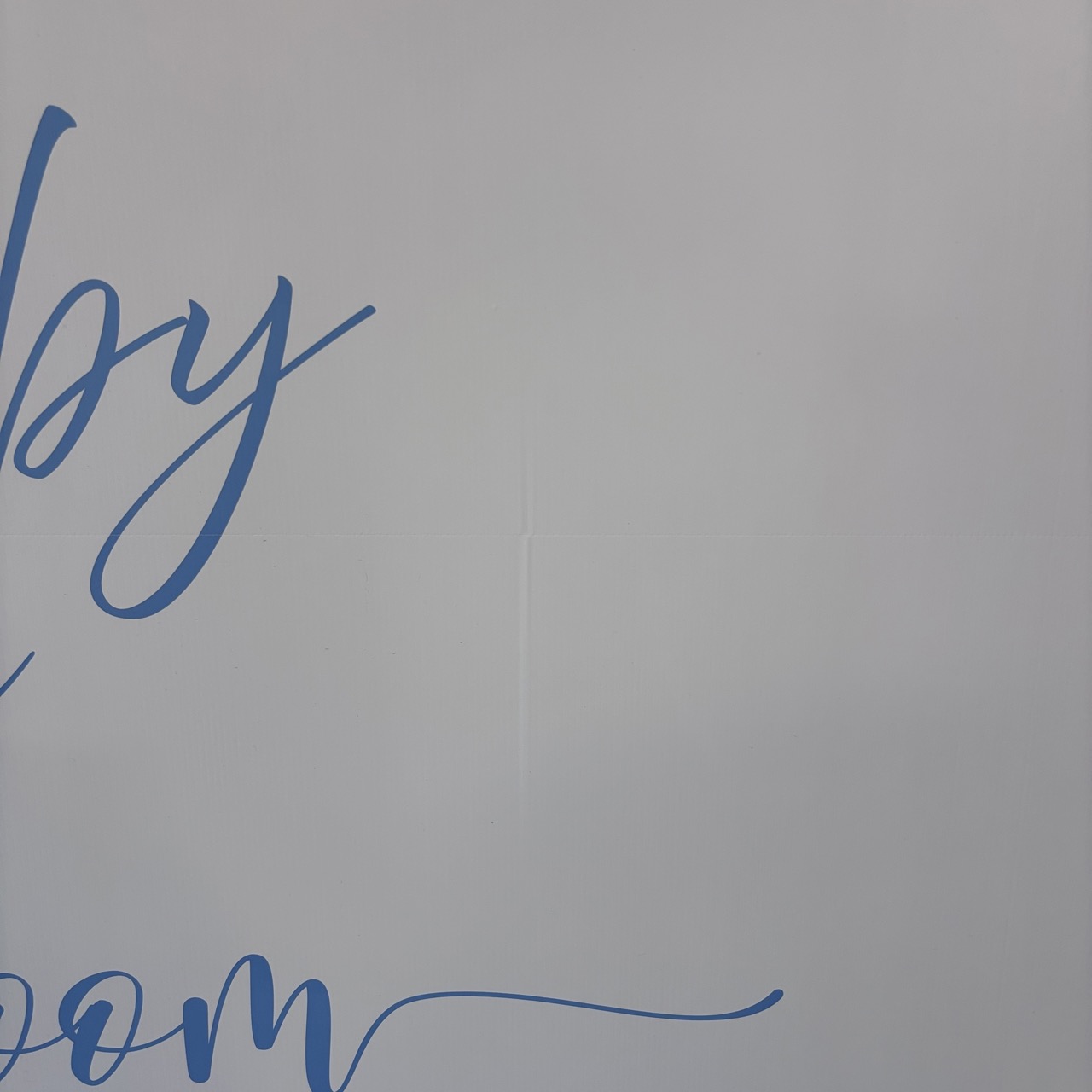 6ft Blue Baby in Bloom Sailboard (Outlet) - Image 2